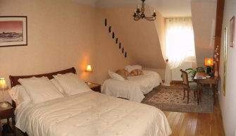 Photo de la chambre savane